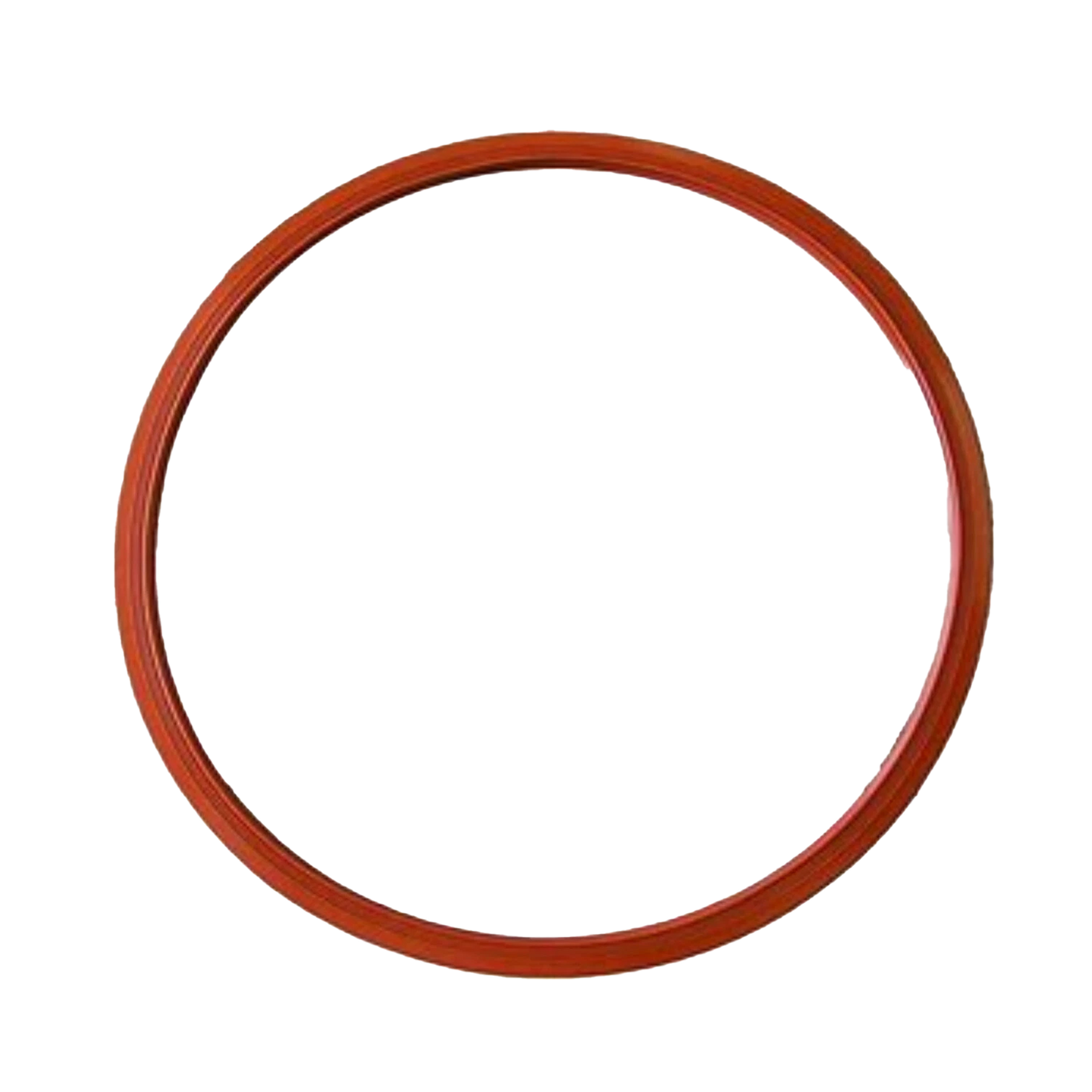 RPI MIG028 DOOR GASKET