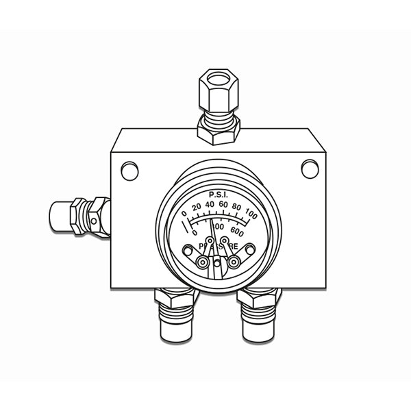 Accutron Nitrogen Manifold System (2-Cylinder Configuration)