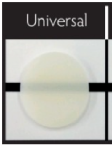 SHOFU BEAUTIFIL-Bulk Flowable Syringe Refills 2.4g - Universal Shade