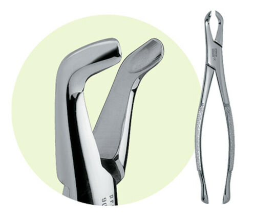 Premier Stainless Steel Mandibular Forcep 222 for 3rd Molar
