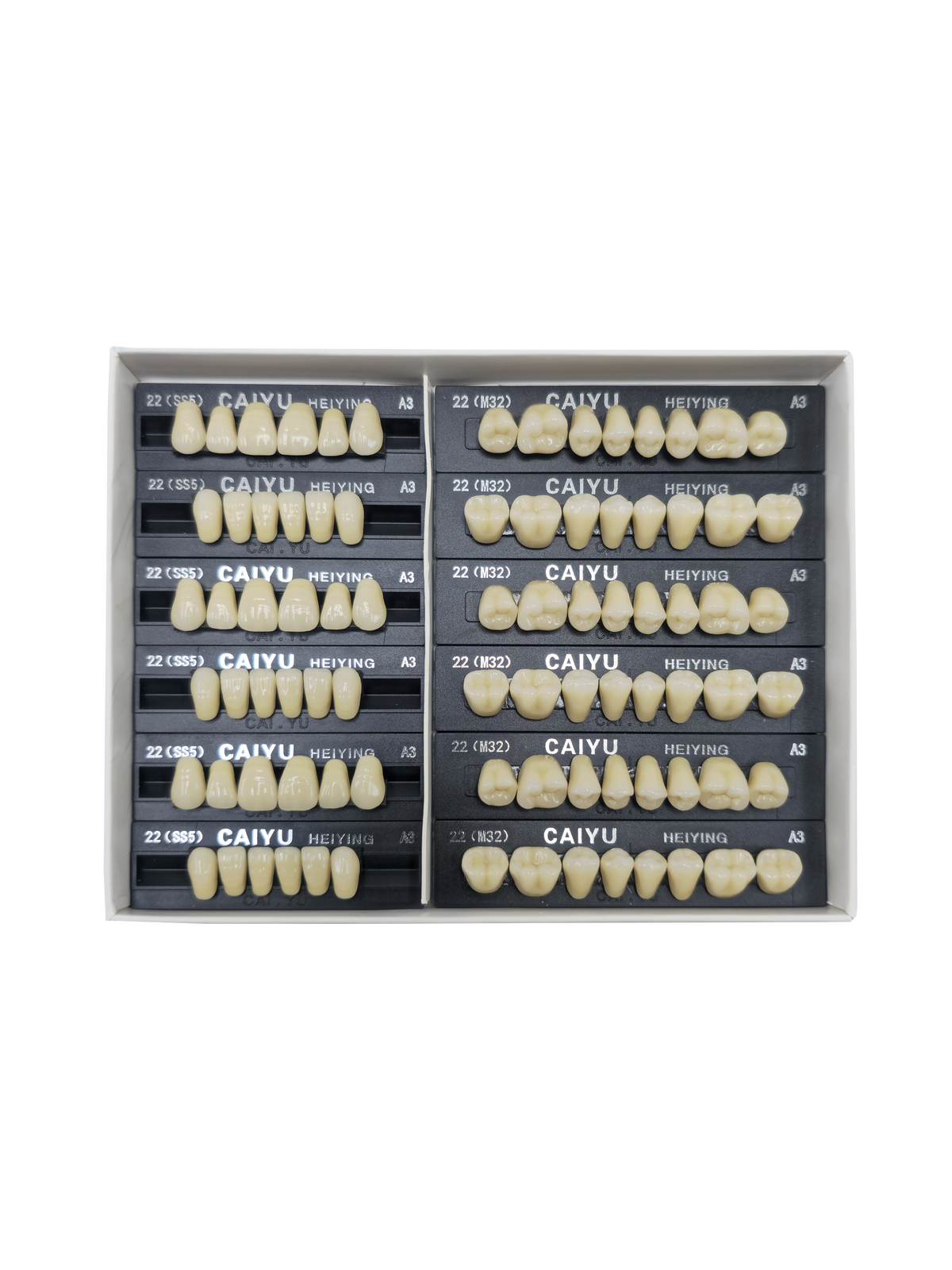 Caiyu Hei Ying Synthetic Resin Teeth 22 (SS5) A3