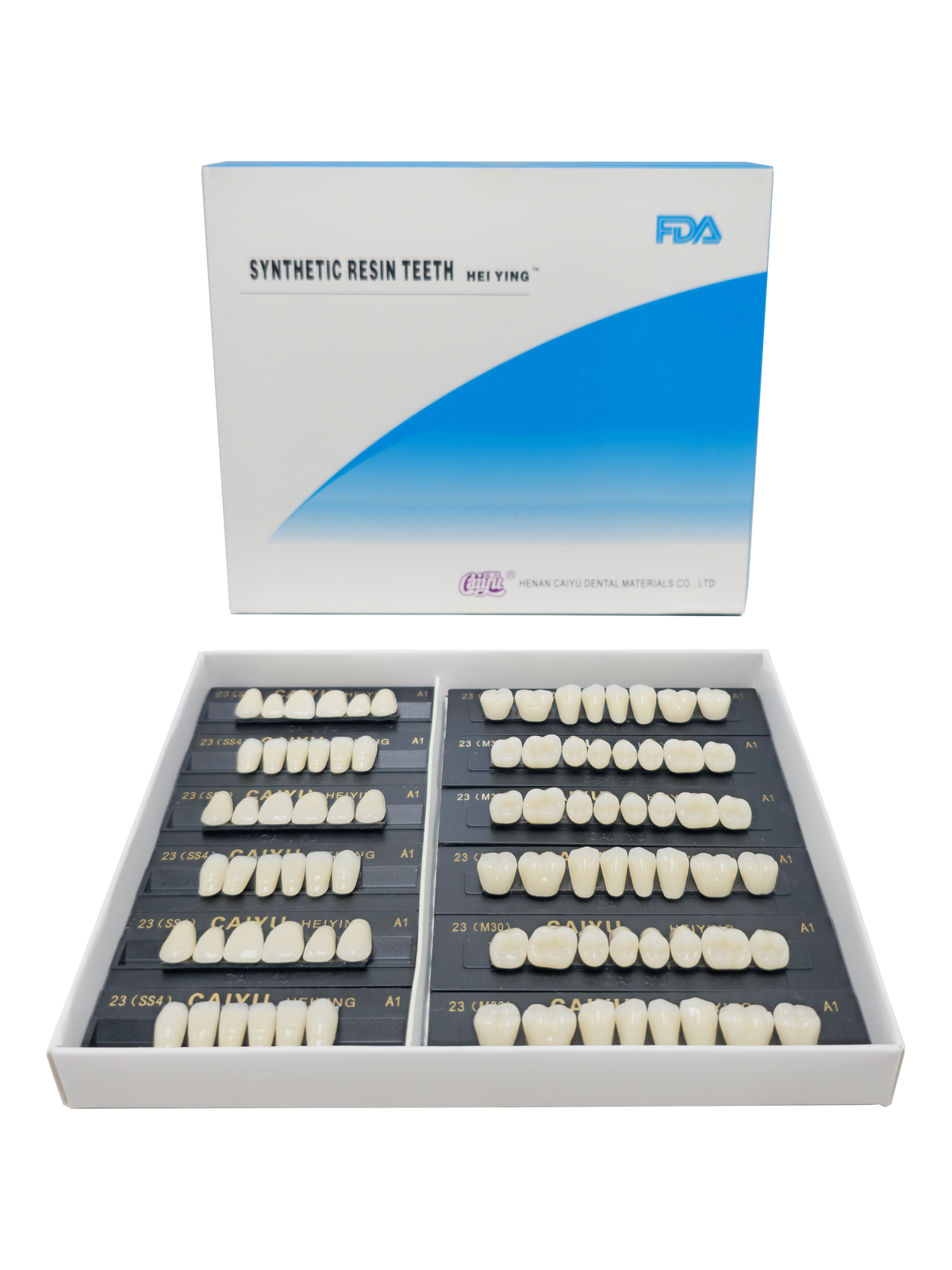 Caiyu Hei Ying Synthetic Resin Teeth 23(SS4) A1