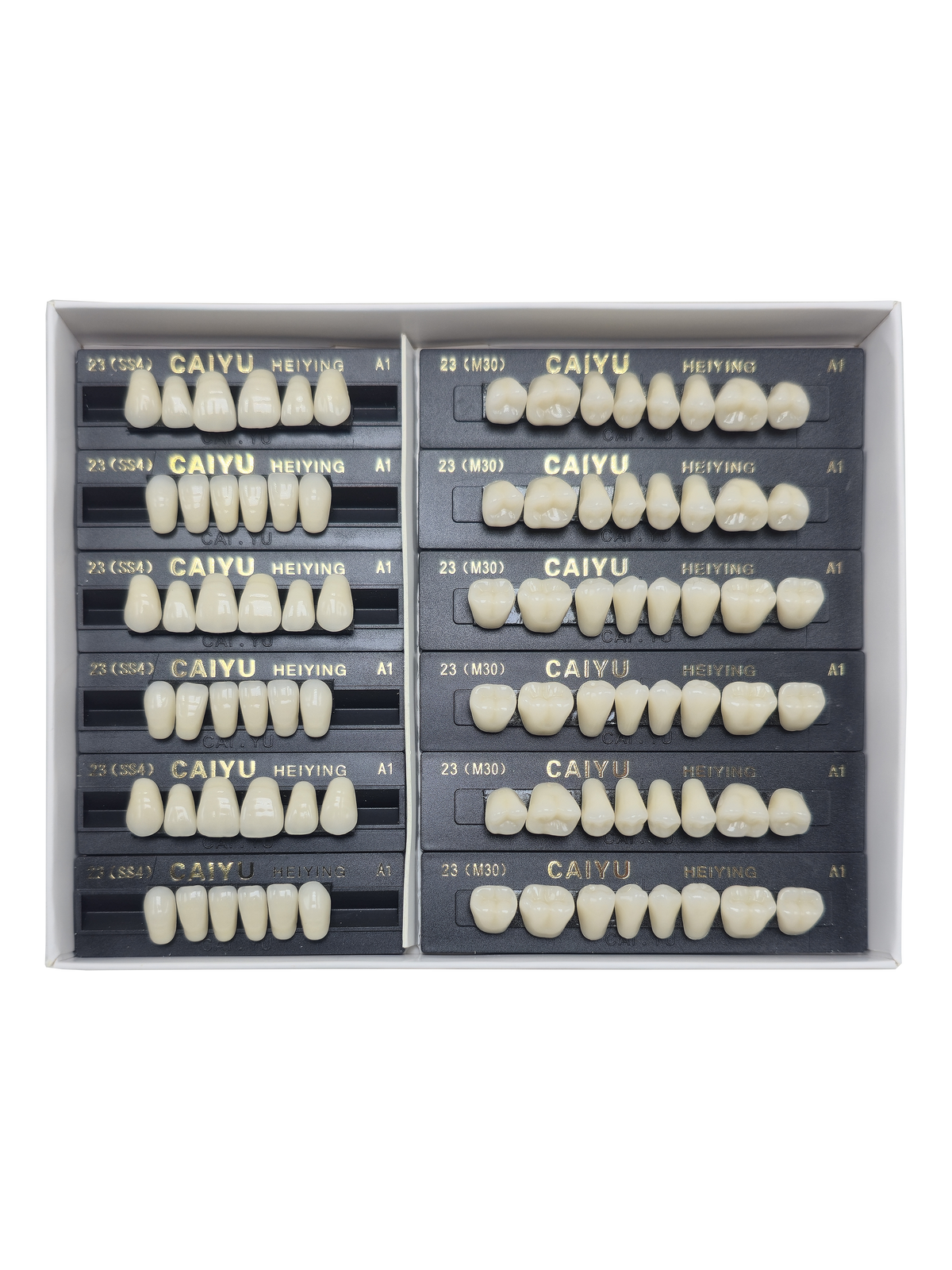 Caiyu Hei Ying Synthetic Resin Teeth 23(SS4) A1