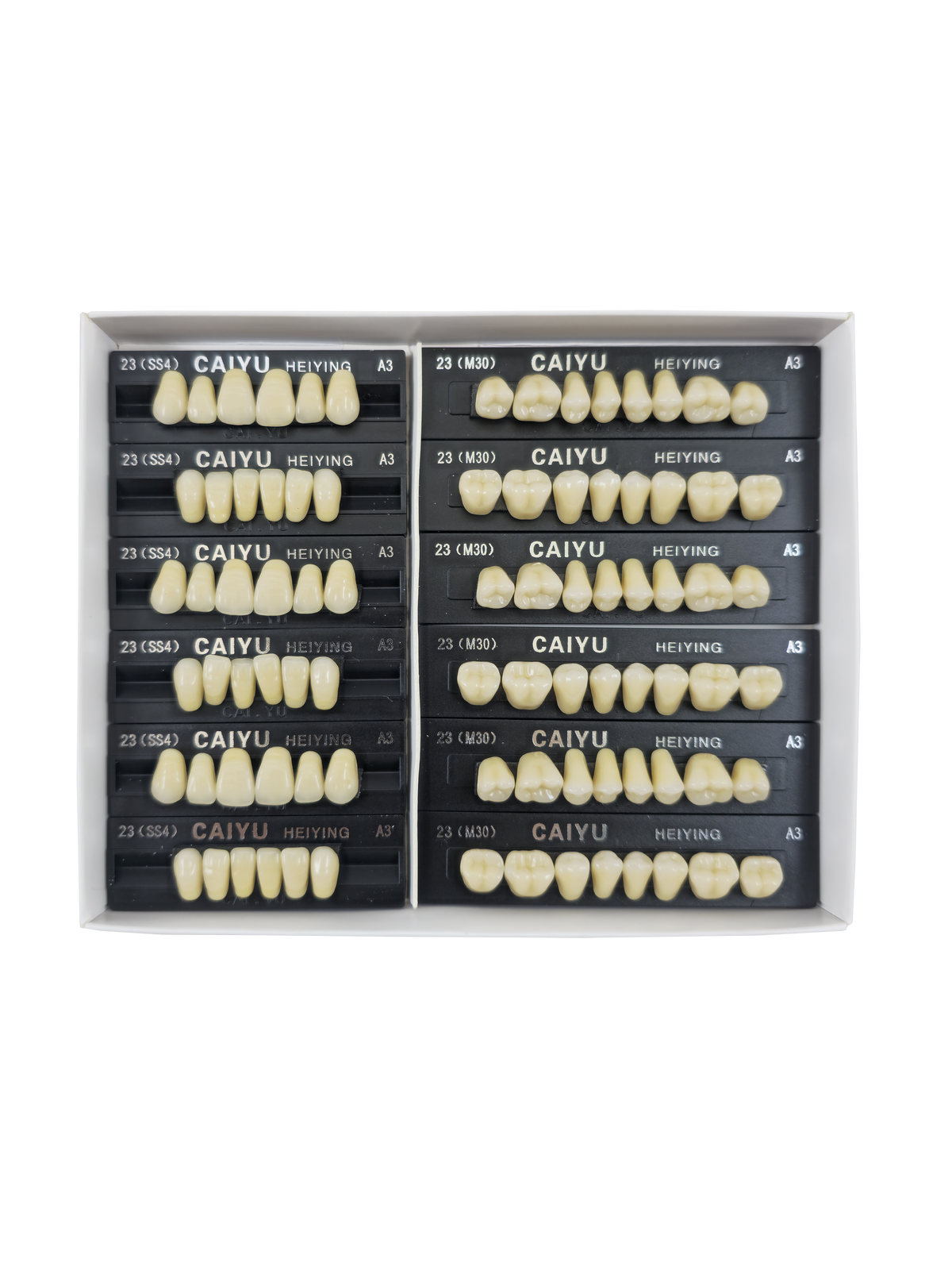 Caiyu Hei Ying Synthetic Resin Teeth 23 (SS4) A3