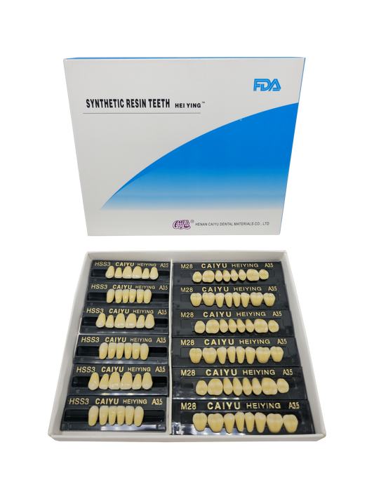 Caiyu Hei Ying Synthetic Resin Teeth 24 HSS3) A3.5
