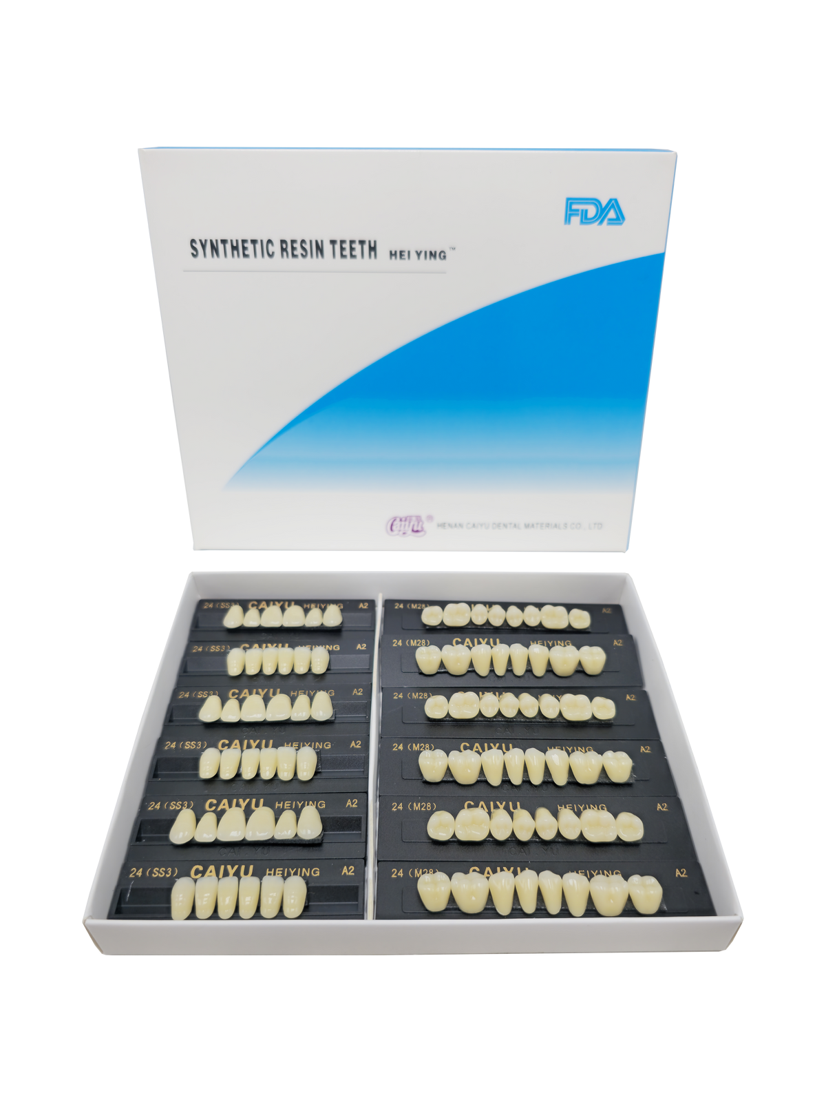Caiyu Hei Ying Synthetic Resin Teeth 24(HSS3)A2