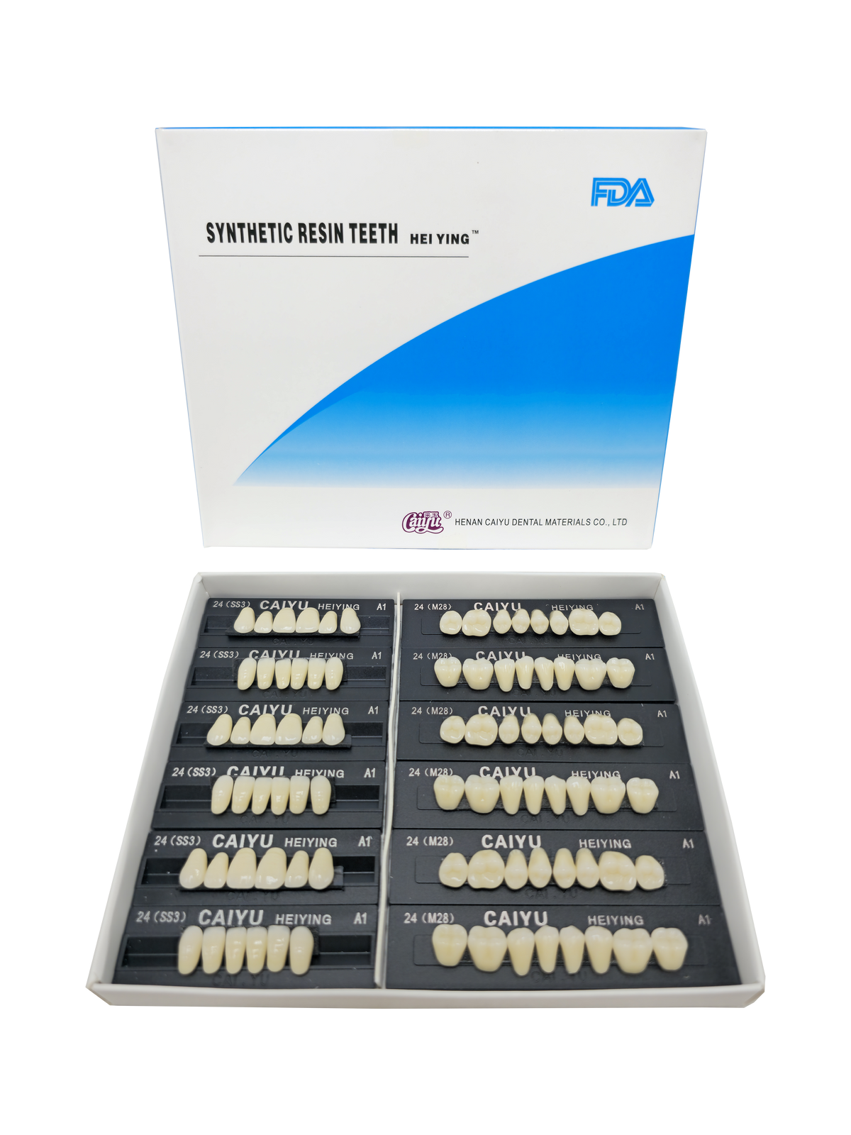 Caiyu Hei Ying Synthetic Resin Teeth 24 (SS3) A1