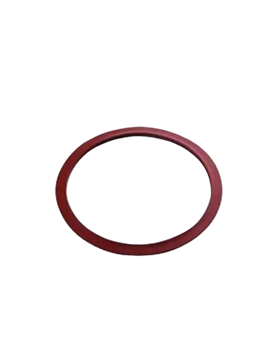 RPI PCG014 DOOR GASKET