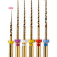 REDLAND R+ TAPER GOLD Rotary Files