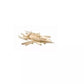 First Choice Triangular Wood Dental Wedges Small 500 Pack