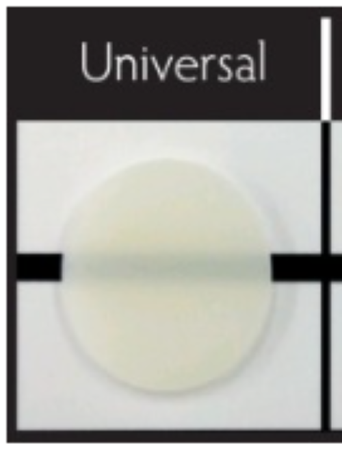 Shofu BEAUTIFIL-Bulk Restorative 4.5g Syringe Shade: UNIVERSAL