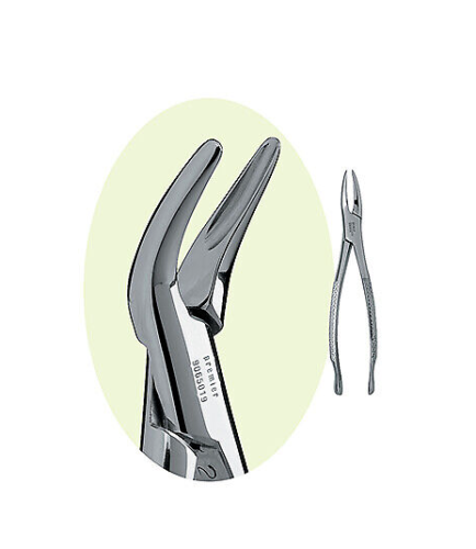 PREMIER Dental Forcep #69 Root Forcep Stainless Steel USA (BUY 3 GET 1 FREE)