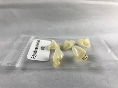 Temporary Poly carbonate Dental Crowns 5/Pk All Sizes Available